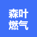 阳春市森叶燃气有限公司